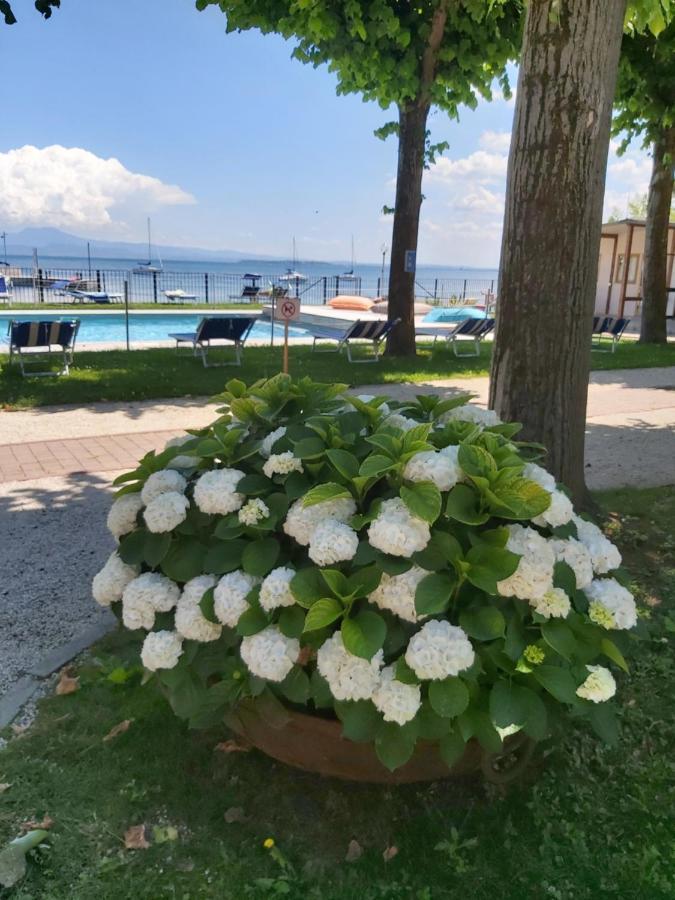 Villaggio Turistico Dei Tigli Padenghe sul Garda Dış mekan fotoğraf
